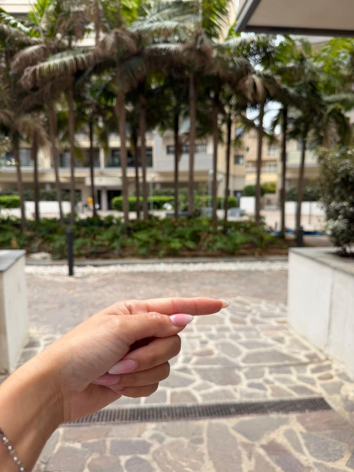 Inner courtyard with palm trees